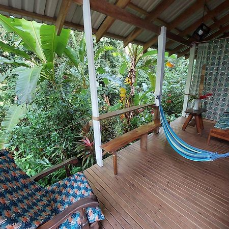 Casa Lina Sloth View Exotic Apartment With Privat Kitchen Puerto Viejo de Talamanca Exterior foto