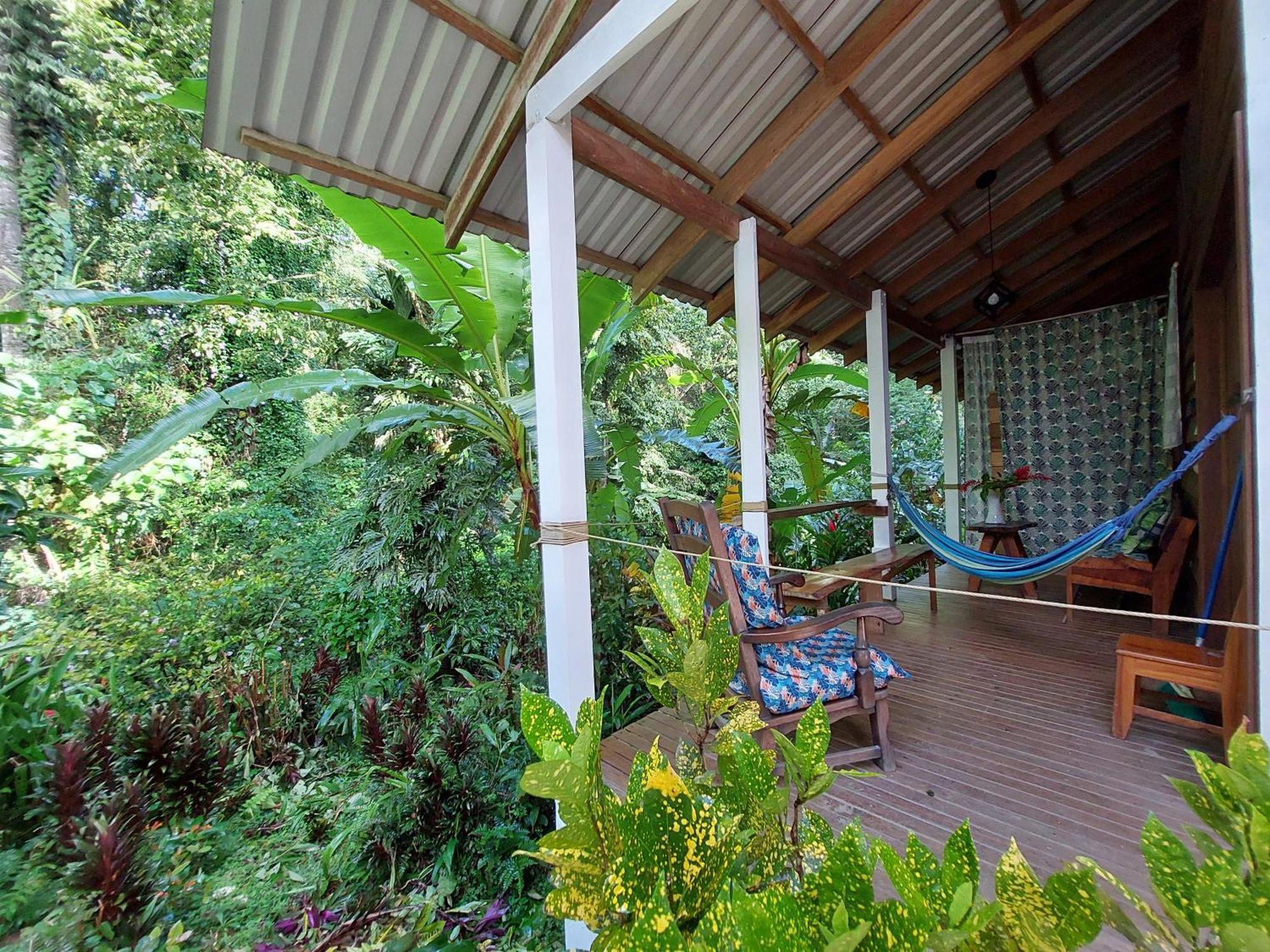 Casa Lina Sloth View Exotic Apartment With Privat Kitchen Puerto Viejo de Talamanca Exterior foto