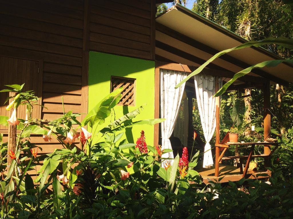 Casa Lina Sloth View Exotic Apartment With Privat Kitchen Puerto Viejo de Talamanca Exterior foto