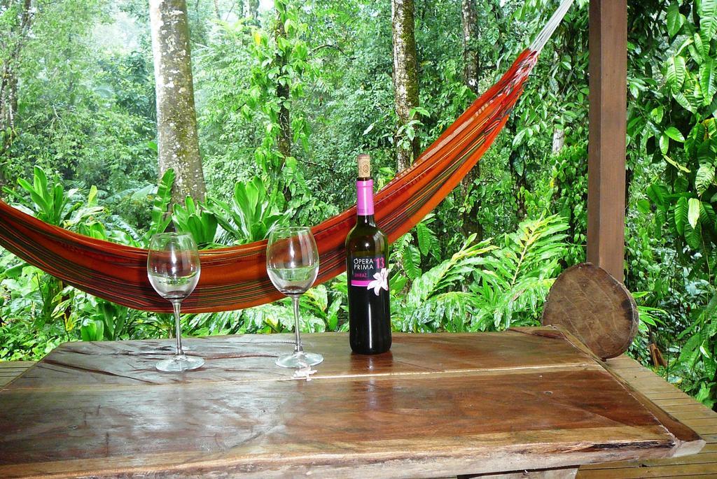 Casa Lina Sloth View Exotic Apartment With Privat Kitchen Puerto Viejo de Talamanca Habitación foto