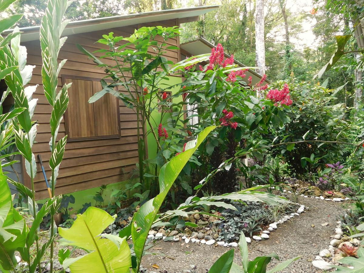 Casa Lina Sloth View Exotic Apartment With Privat Kitchen Puerto Viejo de Talamanca Exterior foto