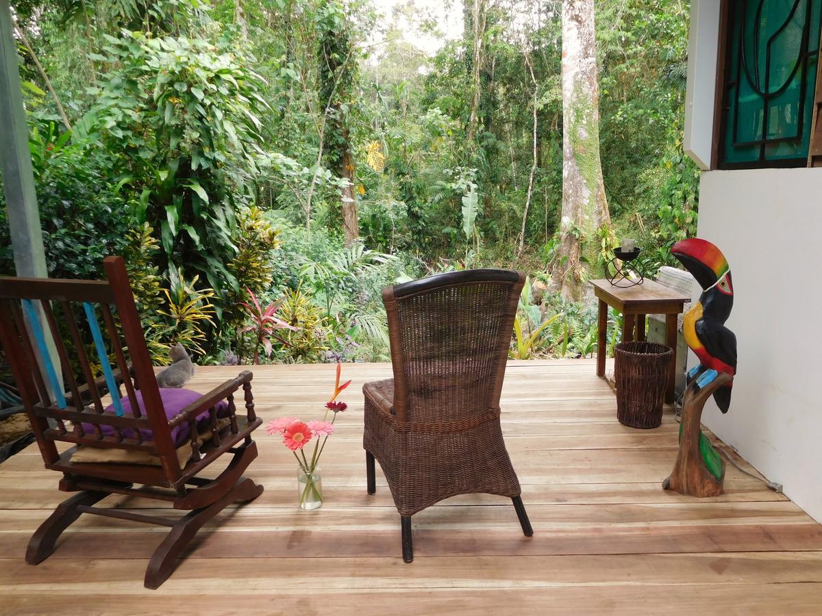 Casa Lina Sloth View Exotic Apartment With Privat Kitchen Puerto Viejo de Talamanca Exterior foto